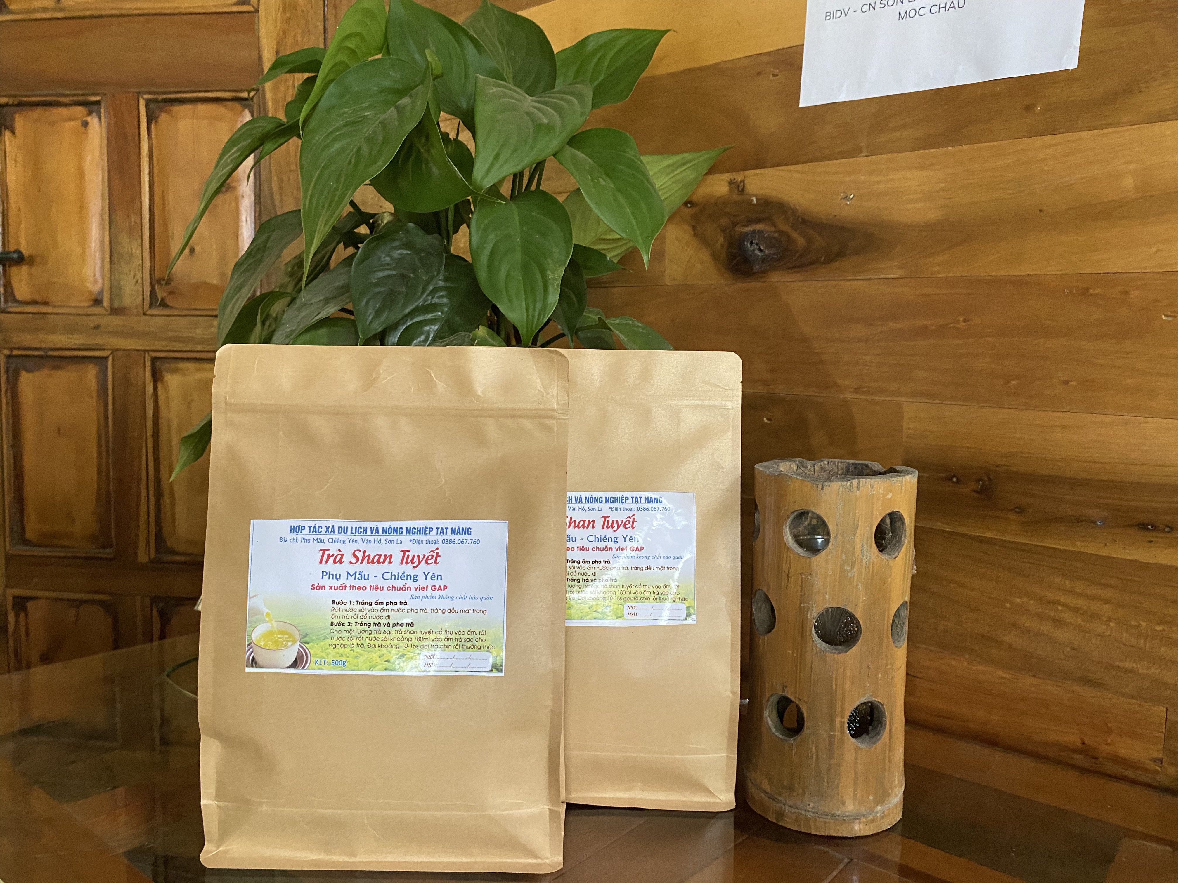 Chè Shan Tuyết Cổ Thụ