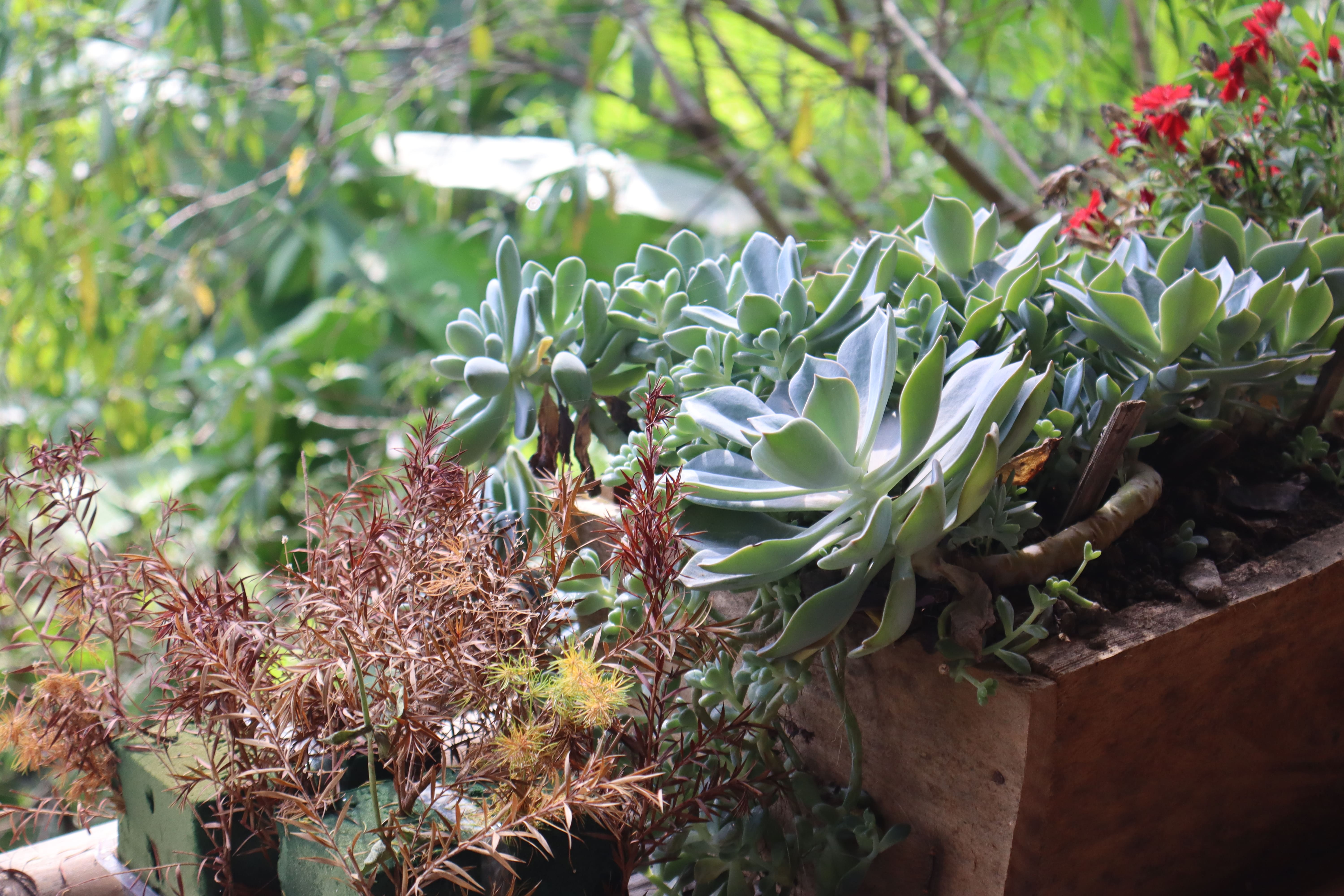 Khuong Thu Homestay 3